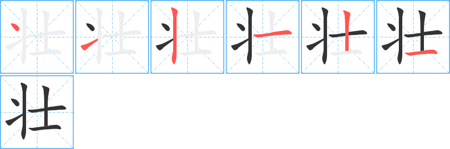 壮的笔顺,壮的笔画数,壮字怎么写-笔顺笔画查询-通晓查询